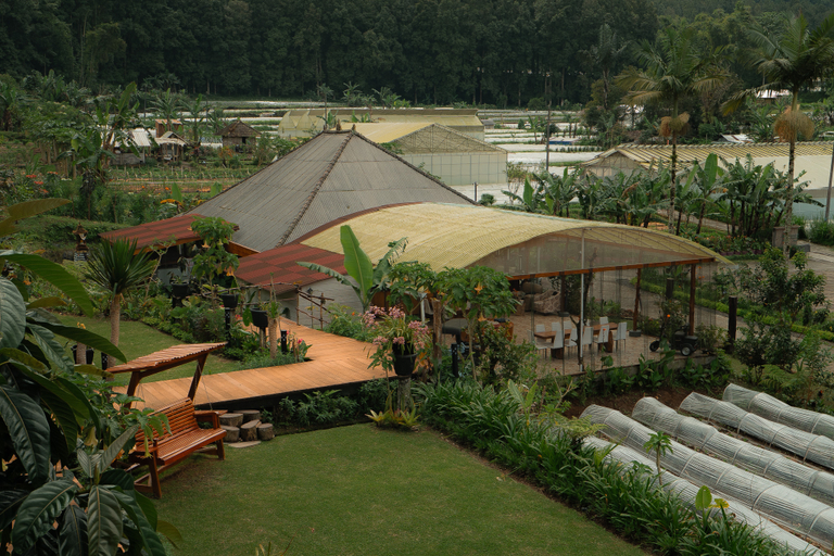 Others 5, Pondanu Living, Tabanan