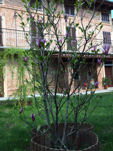 Others 2, B&B Locanda dai Nonni, Asti