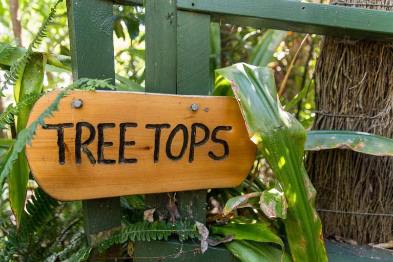 Facilities 3, Palm Beach Bungalows, Auckland