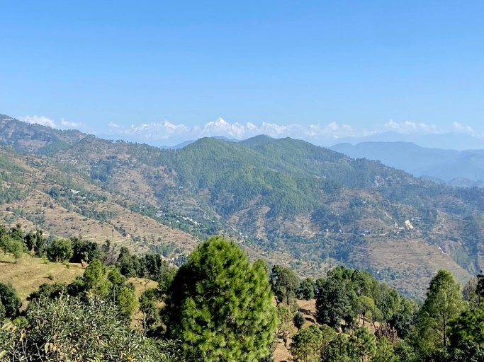 Others 5, HIMDARSHAN HOME STAY, Almora