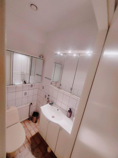 Bathroom 5, Private room in the shared detached house in Vantaa, Uusimaa