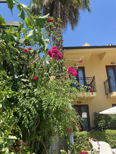 Exterior & Views 2, Villa DanLin Hotel - Boutique Class, Fethiye