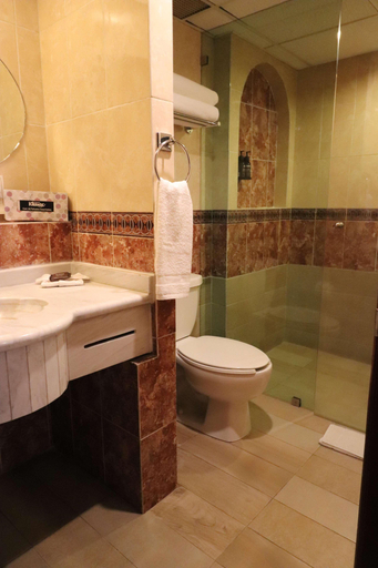Bathroom 4, Best Western Plus Gran Marques, Toluca