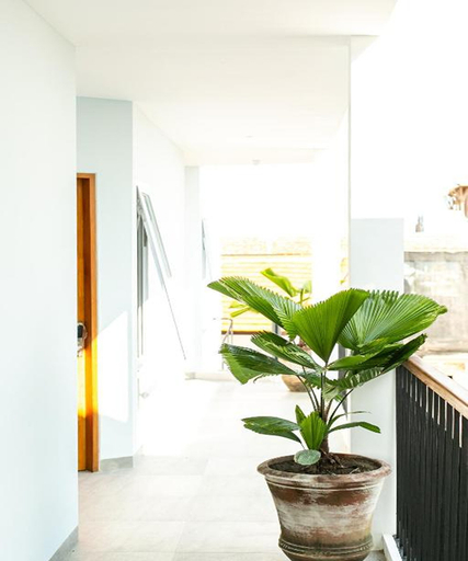 Public Area 2, Coco & Pineapple Pants Hostel, Badung