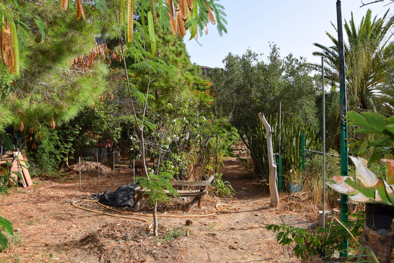 Garden 3, La Casa de los Pinos Temisas, Las Palmas