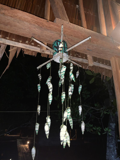 Others 5, Homestay taporaikos, Raja Ampat