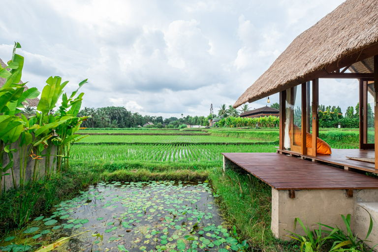 Others 4, Pondok Mawas, Gianyar