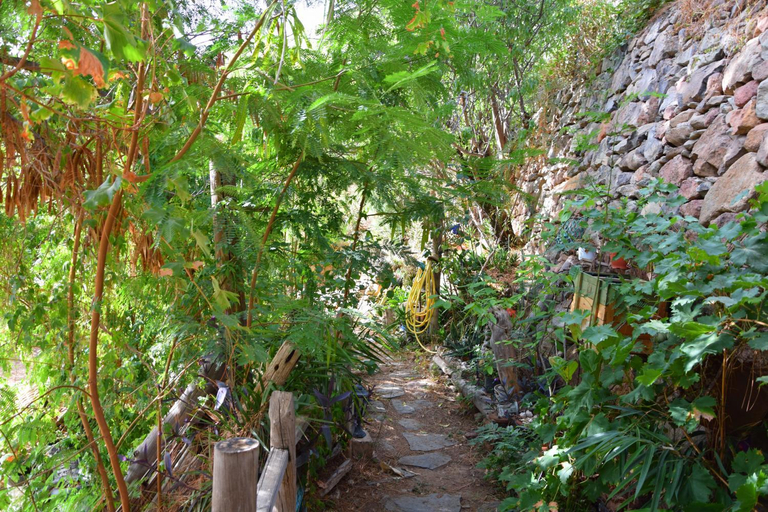 Entrance 2, La Casa de los Pinos Temisas, Las Palmas