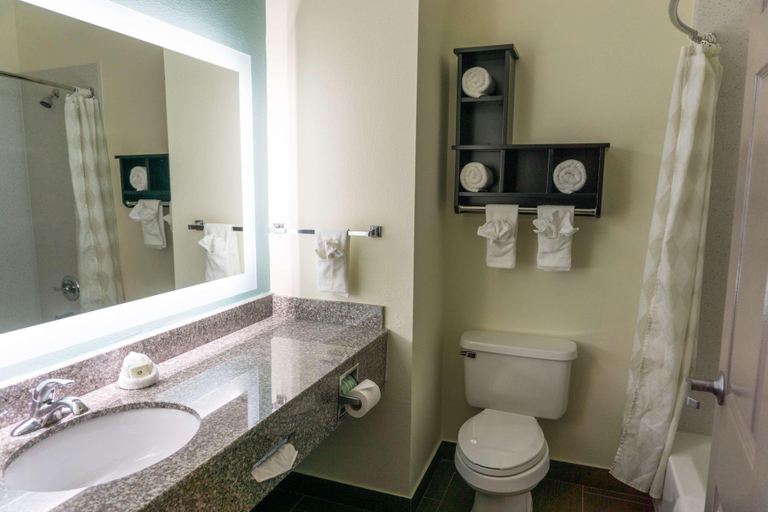 Bathroom 4, Best Western Mayport Inn & Suites, Duval