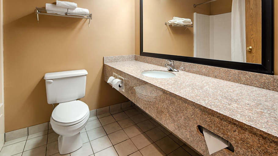 Bathroom 4, Best Western Plaza Hotel Saugatuck, Allegan