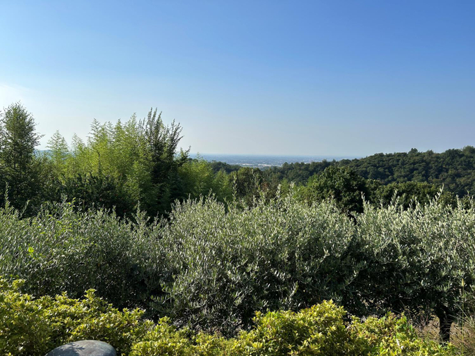 Others 4, b&b alrobale, Bergamo