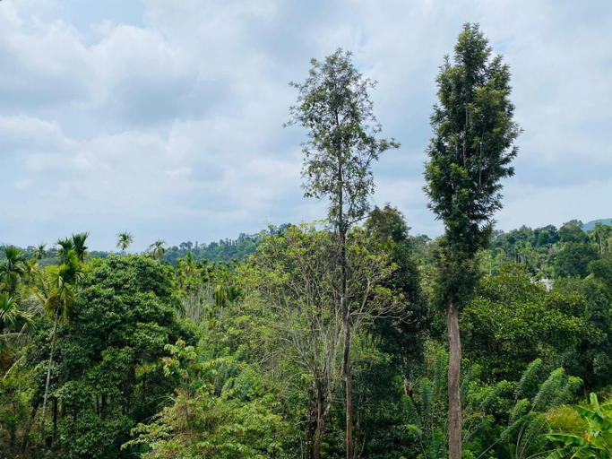 Others 5, O'live Inn Wayanad Apart-Hotels, Wayanad