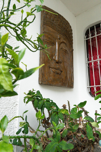 Others 3, Hostal Loco Coco Loco, Panamá