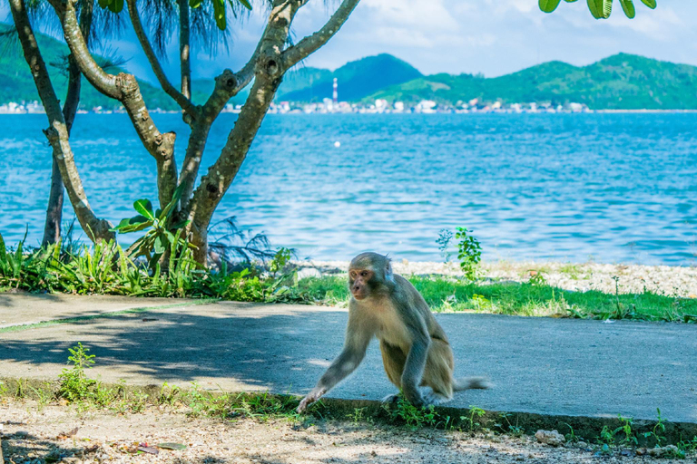 Nearby Landmark 5, Mường Thanh Nha Trang Poli Apartment, Nha Trang