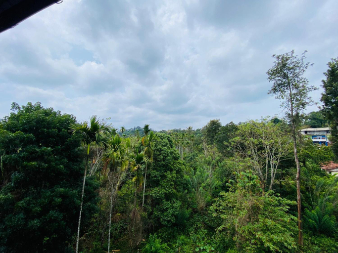 View, O'live Inn Wayanad Apart-Hotels, Wayanad