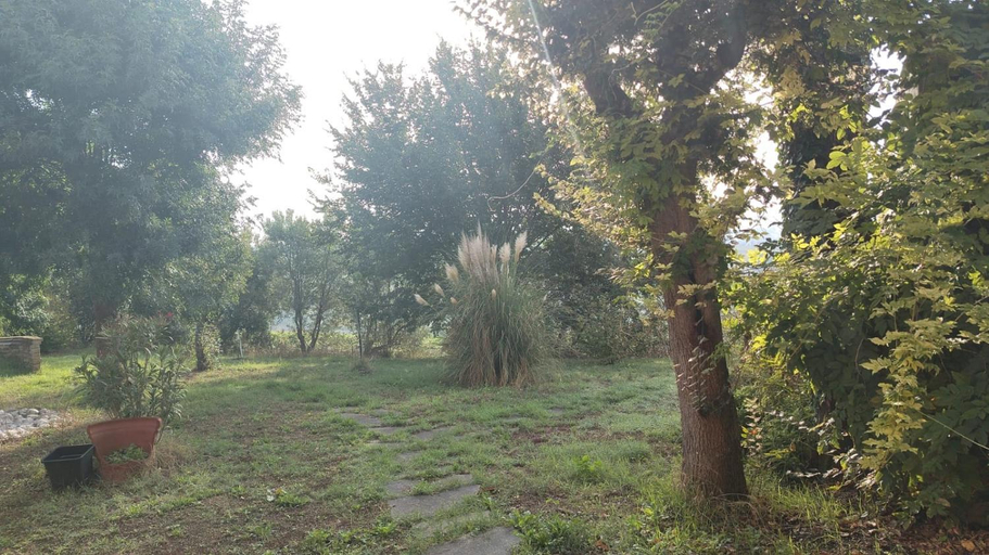 Others 3, Bed & Breakfast Montsegur, Ancona