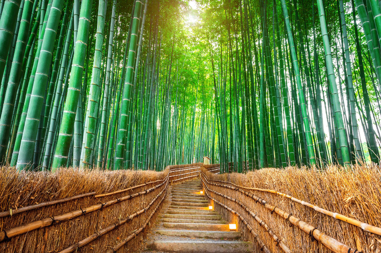 Nearby Landmark 5, 嵐翁居らんおうきょ Ranohkyo, Kyoto