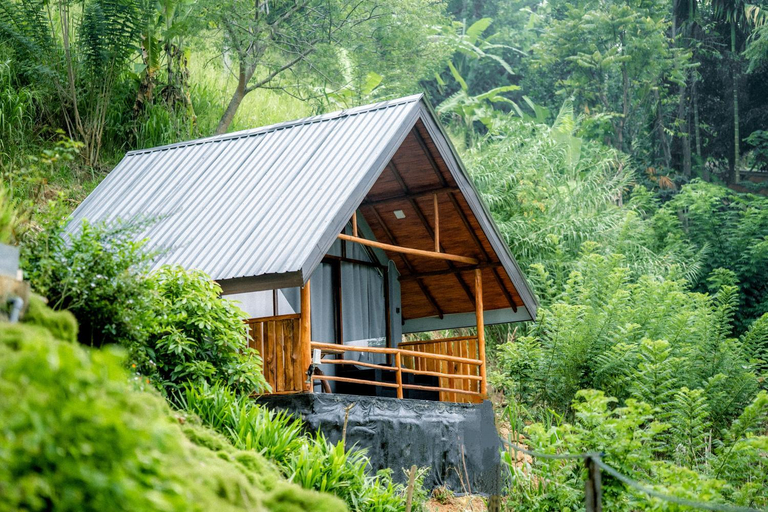 Others 4, Ella Lovers View Cabins, Ella
