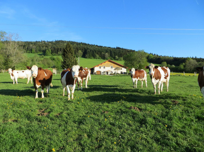 Others 2, La ferme du bonheur, Doubs