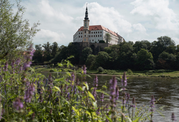 Others 5, Apartmány Princ Děčín, Děčín