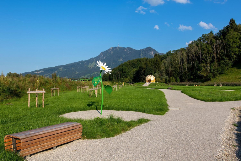 Others 5, Der Bienenkorb, Oberallgäu