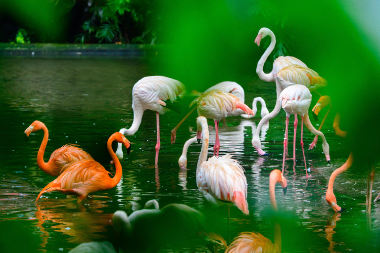 Nearby Landmark 2, 邻致公寓东站中汇店, Guangzhou