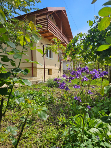 Others 2, Casa Hera, Calimanesti