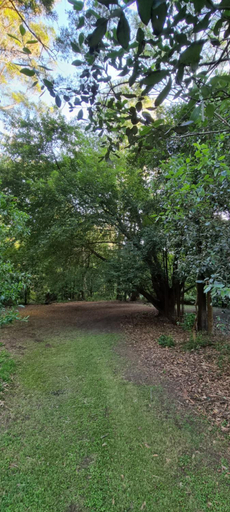 Others 5, Bird Songs Getaway Accommodation, E. Gippsland - Orbost