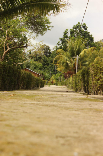 Exterior & Views 3, Dore Atri, Raja Ampat