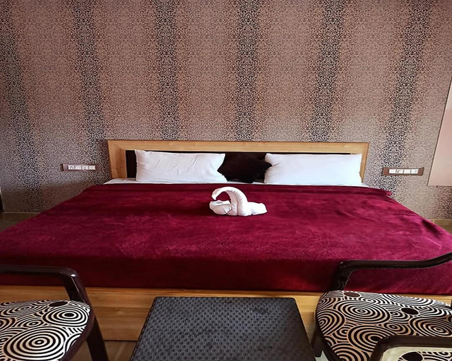 Others 4, HOTEL IMPERIA, Chittaurgarh