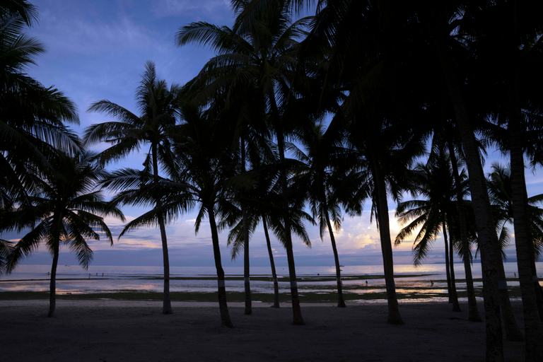 Others, South Palms Panglao Mgallery, Panglao