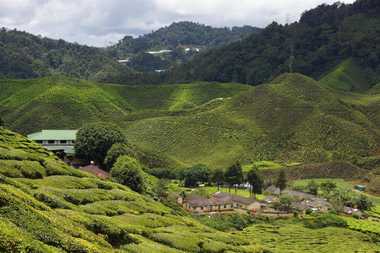 Nearby Landmark 4, netasha holiday inn, Cameron Highlands