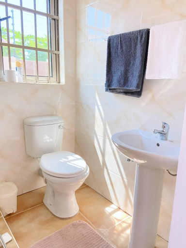 Others 5, Ranzi Court, Palapye