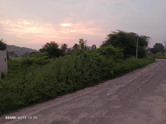 Others 2, Rambo Homestay and Restaurant Hampi , Koppal