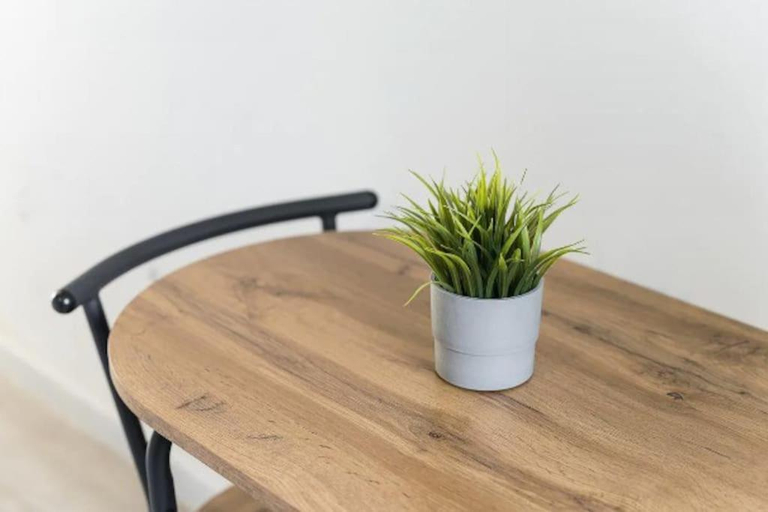 Others 4, OPO - Fantastic studio with garden, Porto