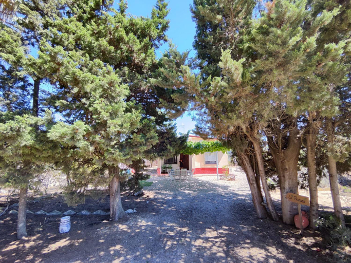 5, El Arrabal de la Barrosa, Cádiz