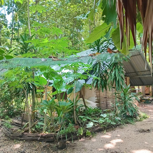 Others 5, Doendin Mudbrick hostel, Pai