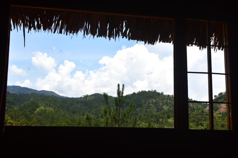 Surrounding environment