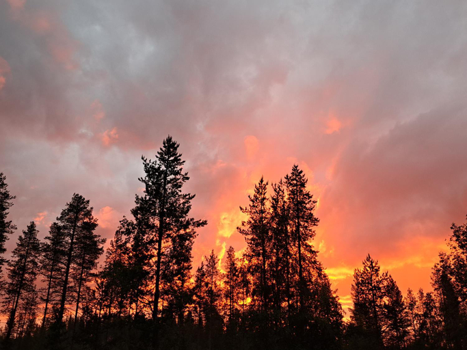 Others 5, Northernlight guesthouse, Northern Ostrobothnia