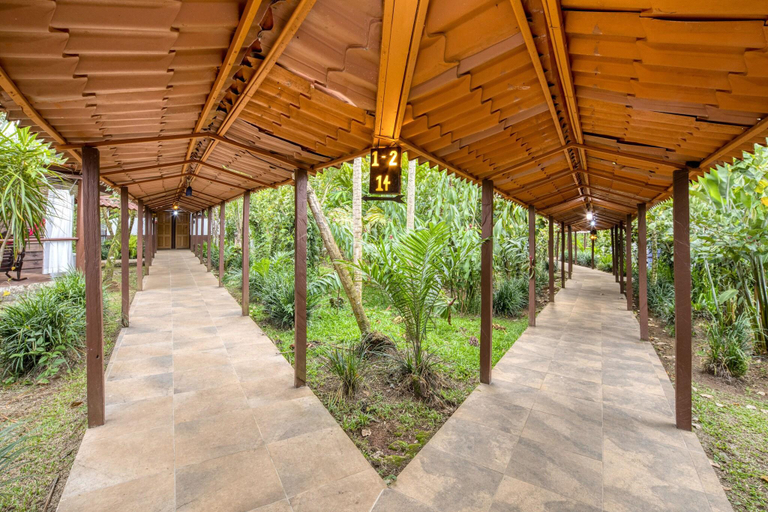 Public Area 2, La Quinta Sarapiqui Lodge, Sarapiquí
