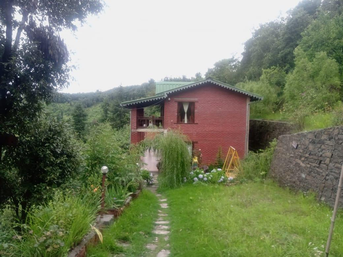 Public Area, Way Wood Wind, Nainital