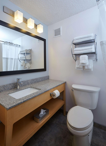 Bathroom 4, Best Western Skyline Motor Lodge, Lake