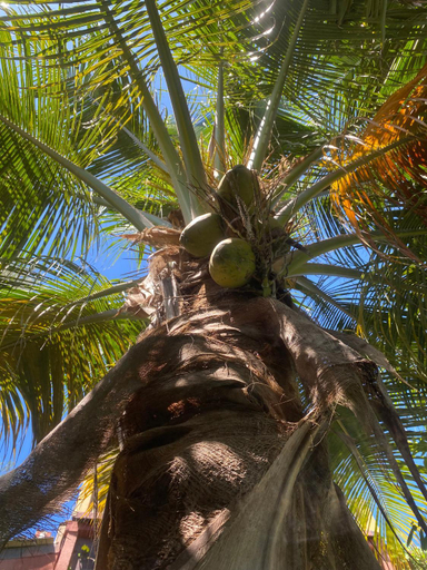 Others 4, Fabuleuse Villa Keur Bibou, Dakar
