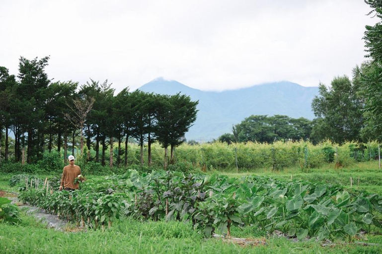 Others 2, Agriturismo YUTAKA アグリツーリズモ ユタカ, Hokuto