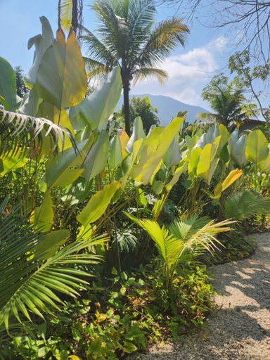 Others 3, Luxury Family Beach Penthouse with Mountain Views, Ubatuba