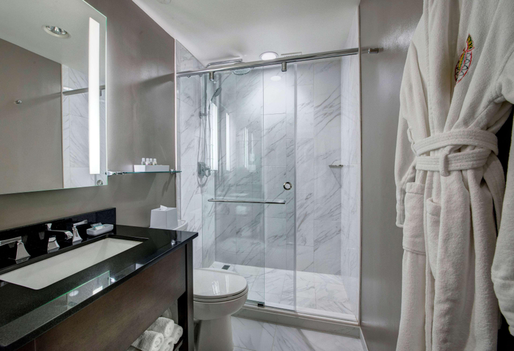 Bathroom 5, Phoenix Park Hotel, Washington D.C.