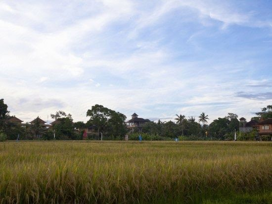 Others 3, ARTINI 2 COTTAGES, Gianyar