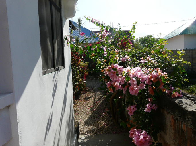 Others 2, La CASETTA A ZANZIBAR B&B, Kati