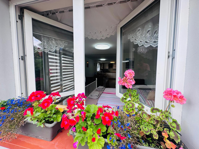 Others 2, Apartament Bukowy, Kłodzko