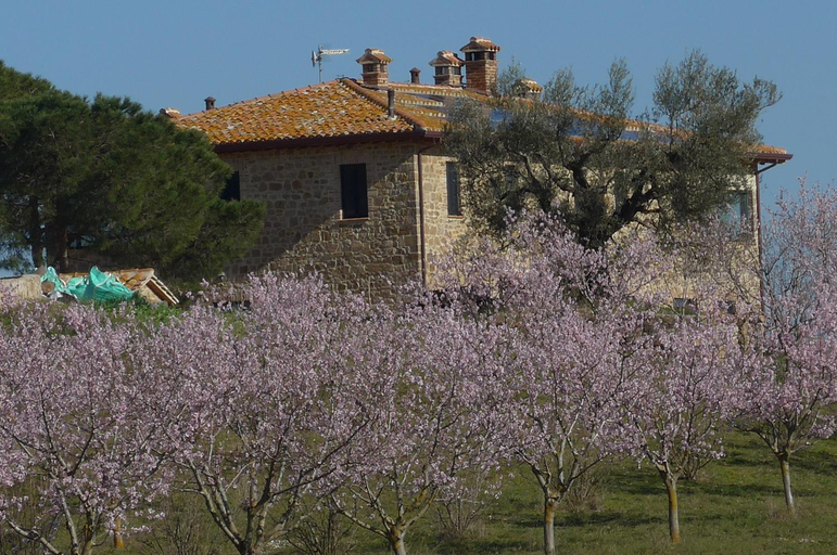 Others 2, Agriturismo Il Sassolino, Terni